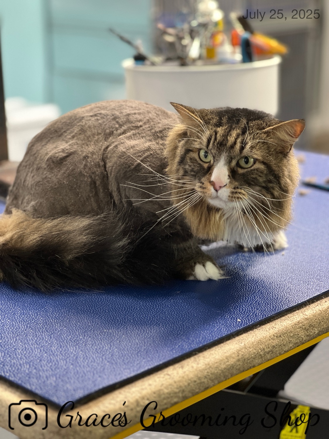 placeholder image-sq