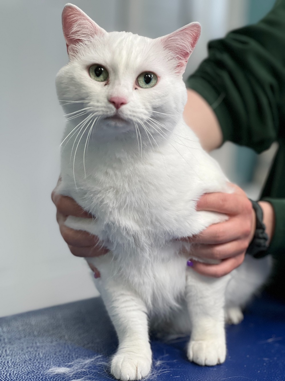 placeholder image-sq