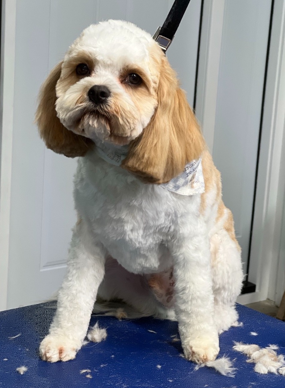 placeholder image-sq