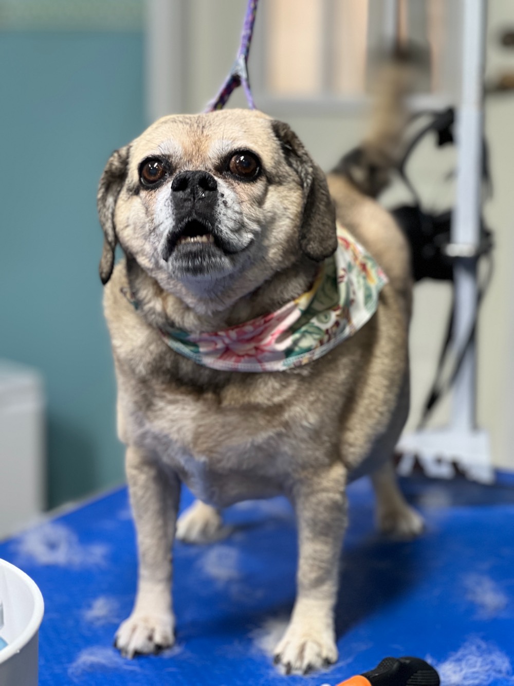 placeholder image-sq